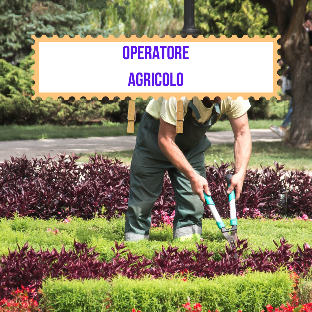 OF24 OPERATORE AGRICOLO - ASESI